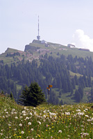 Lucerna, Klewenalp, Rigi, Pilatus - Szwajcaria - relacja z wakacji